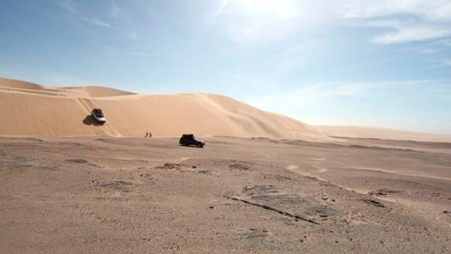 Skeleton Coast