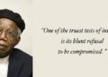 Chinua Achebe's Quotes