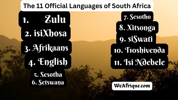 Official Languages Of South Africa