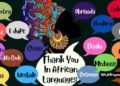 Thank You in African Languages