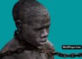 Slave Trade History