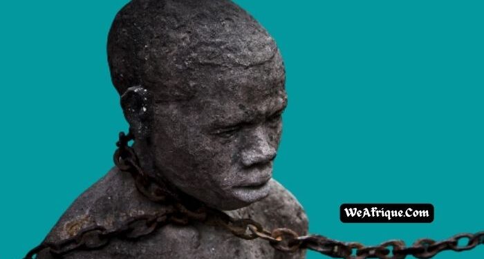 Slave Trade History