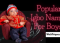 Igbo Names for Boys