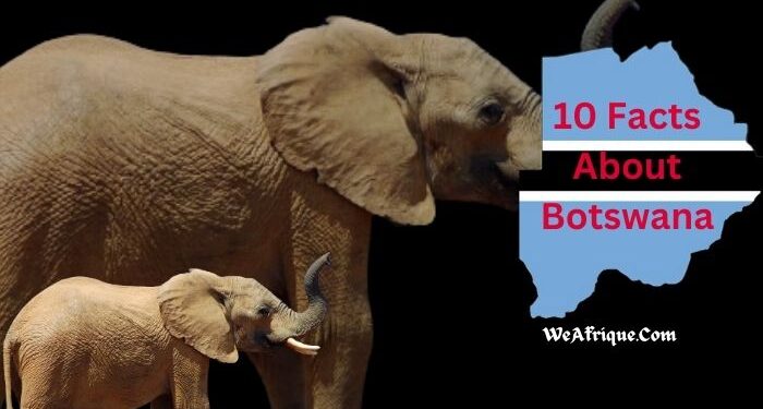 Facts About Botswana