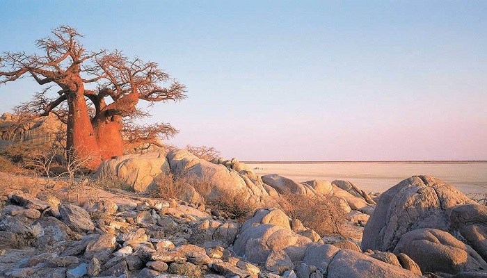 Best Places to Visit in Botswana
