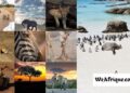 South Africa Tourist Sites