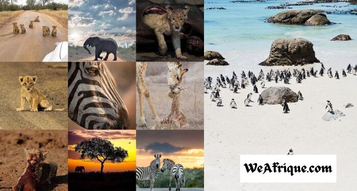 South Africa Tourist Sites