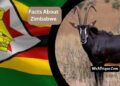 Facts About Zimbabwe