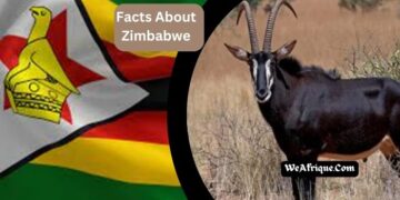 Facts About Zimbabwe