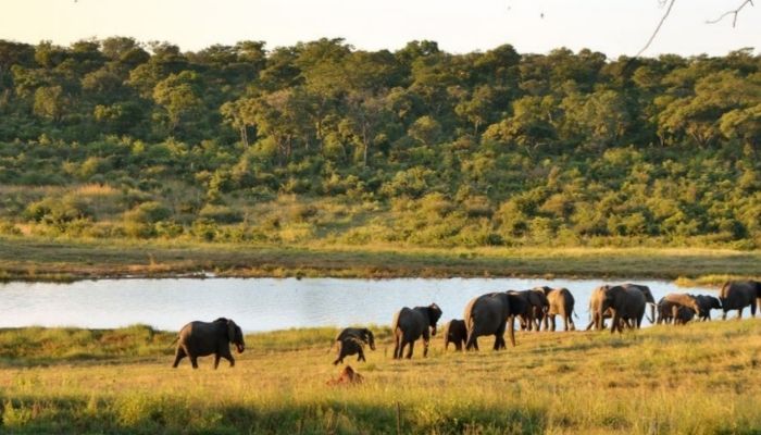 Best Places in Zimbabwe
