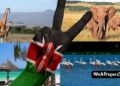 Places to visit in Kenya